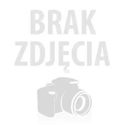 Młoty wiercące udarowo - obrotowe SDS-MAX - WYNAJEM
